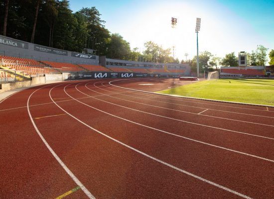 Estádio do Fontelo, Viseu