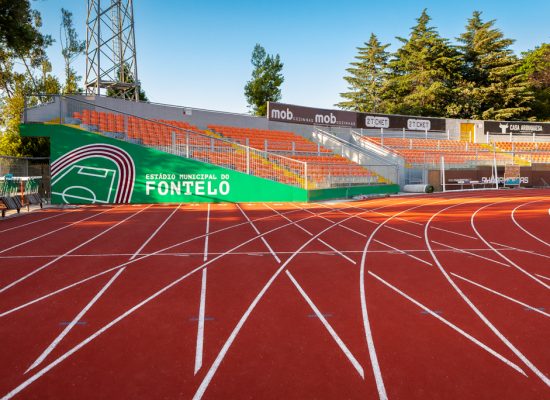 Estádio do Fontelo, Viseu