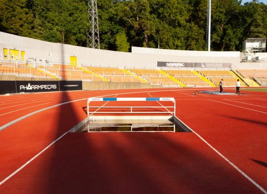 Estádio do Fontelo, Viseu